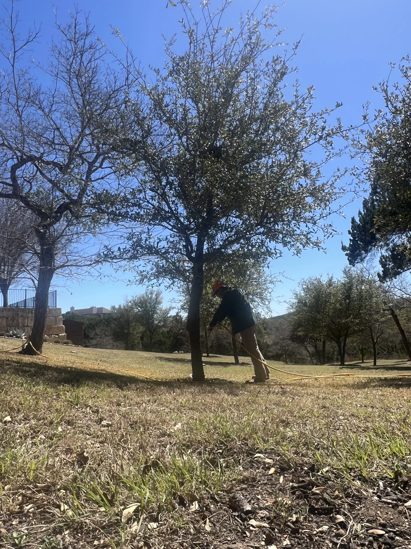 Brush Hauling in Austin, Texas
