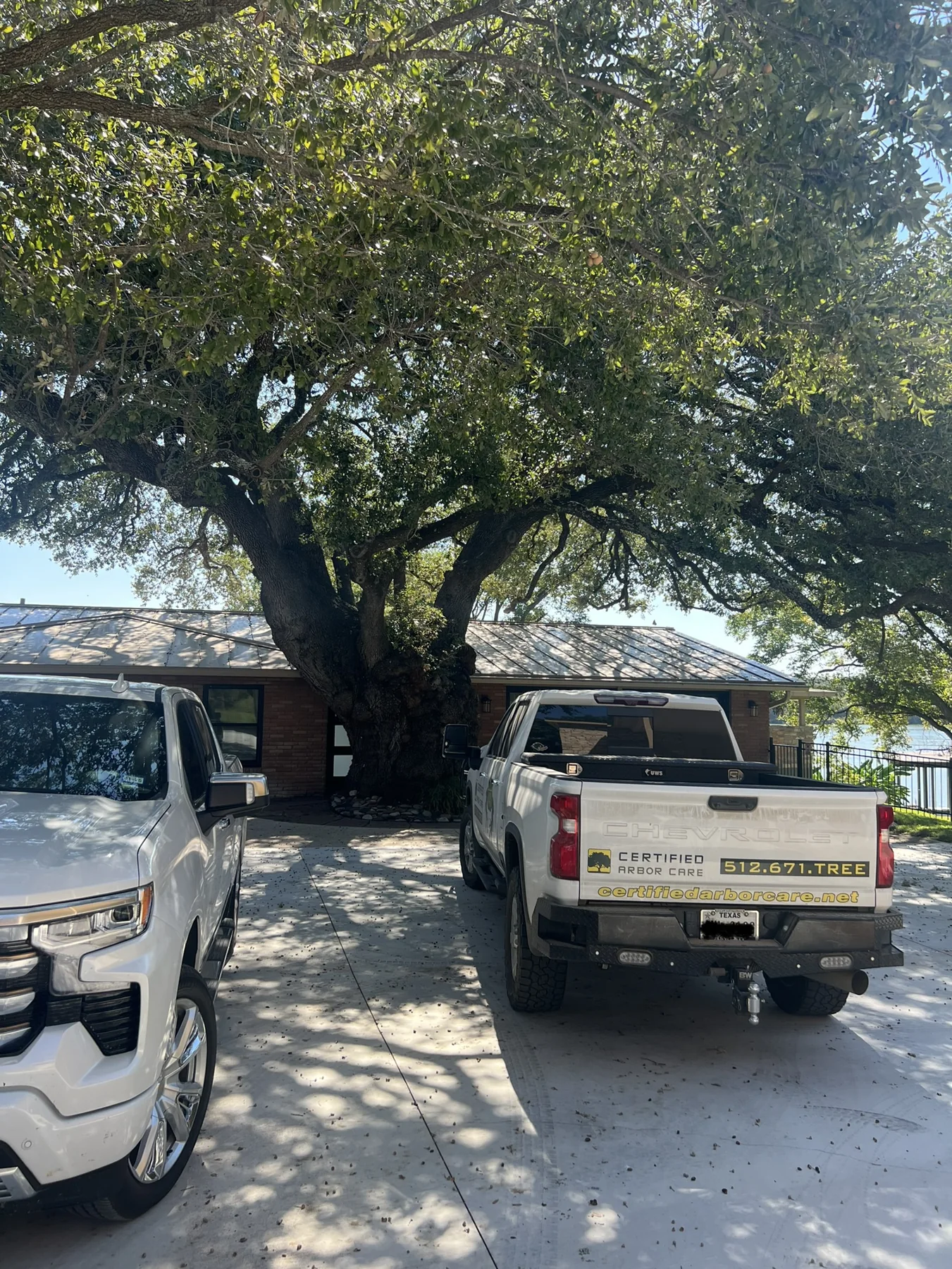 Certified Arbor Care job photo