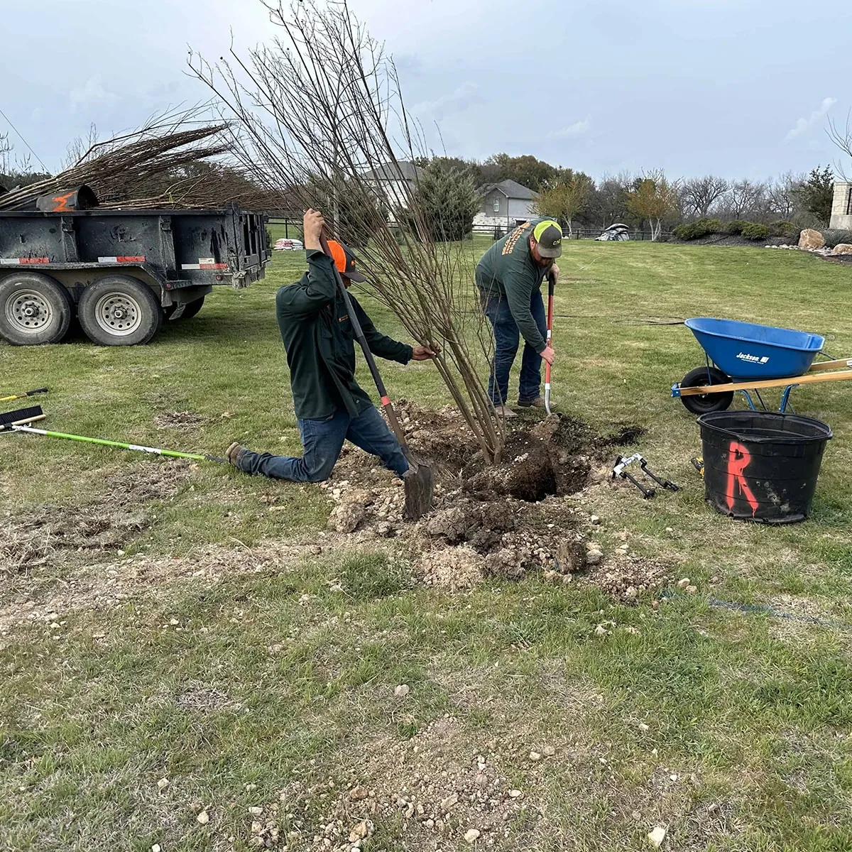 Certified Arbor Care job photo