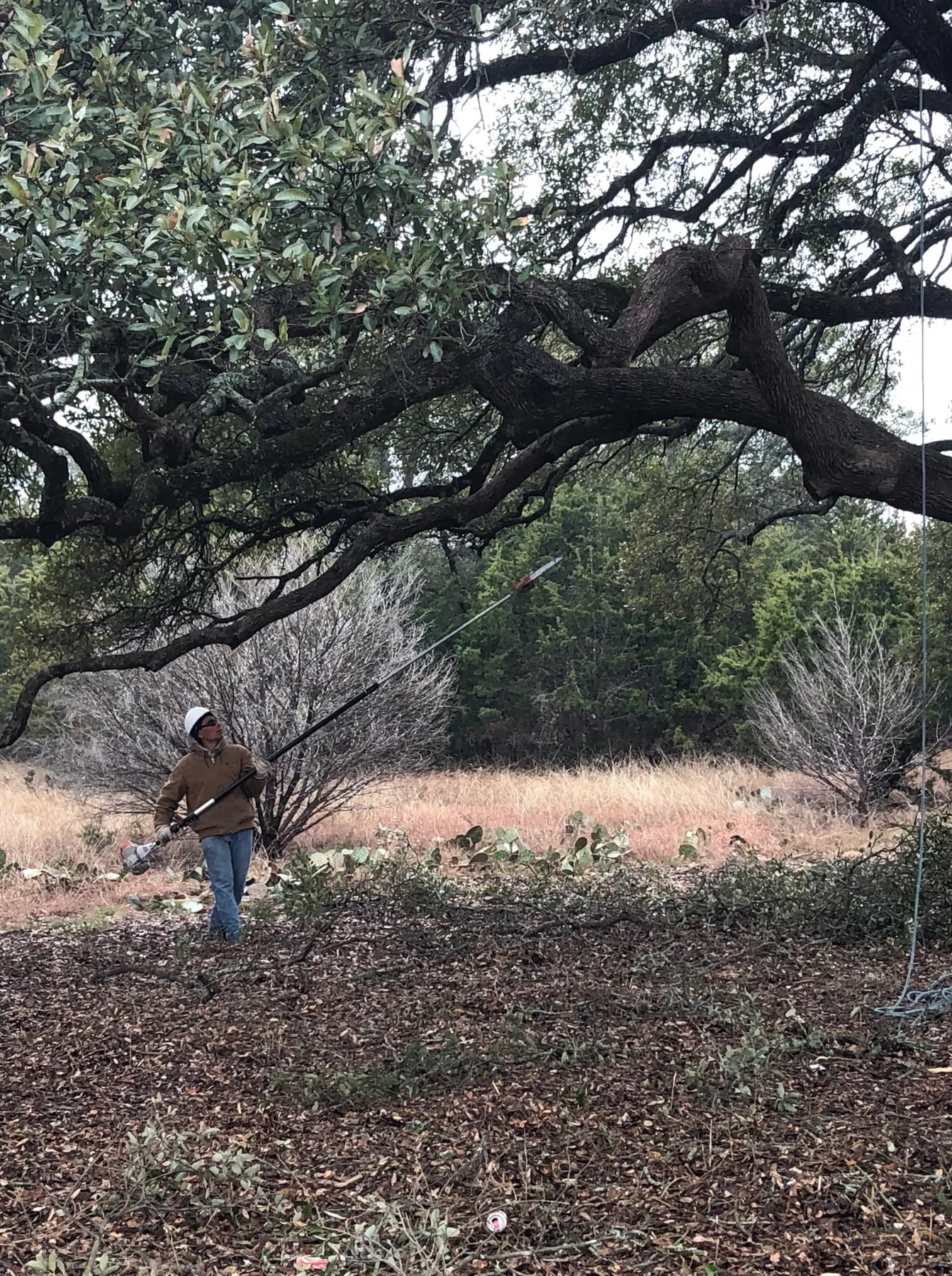 Certified Arbor Care job photo