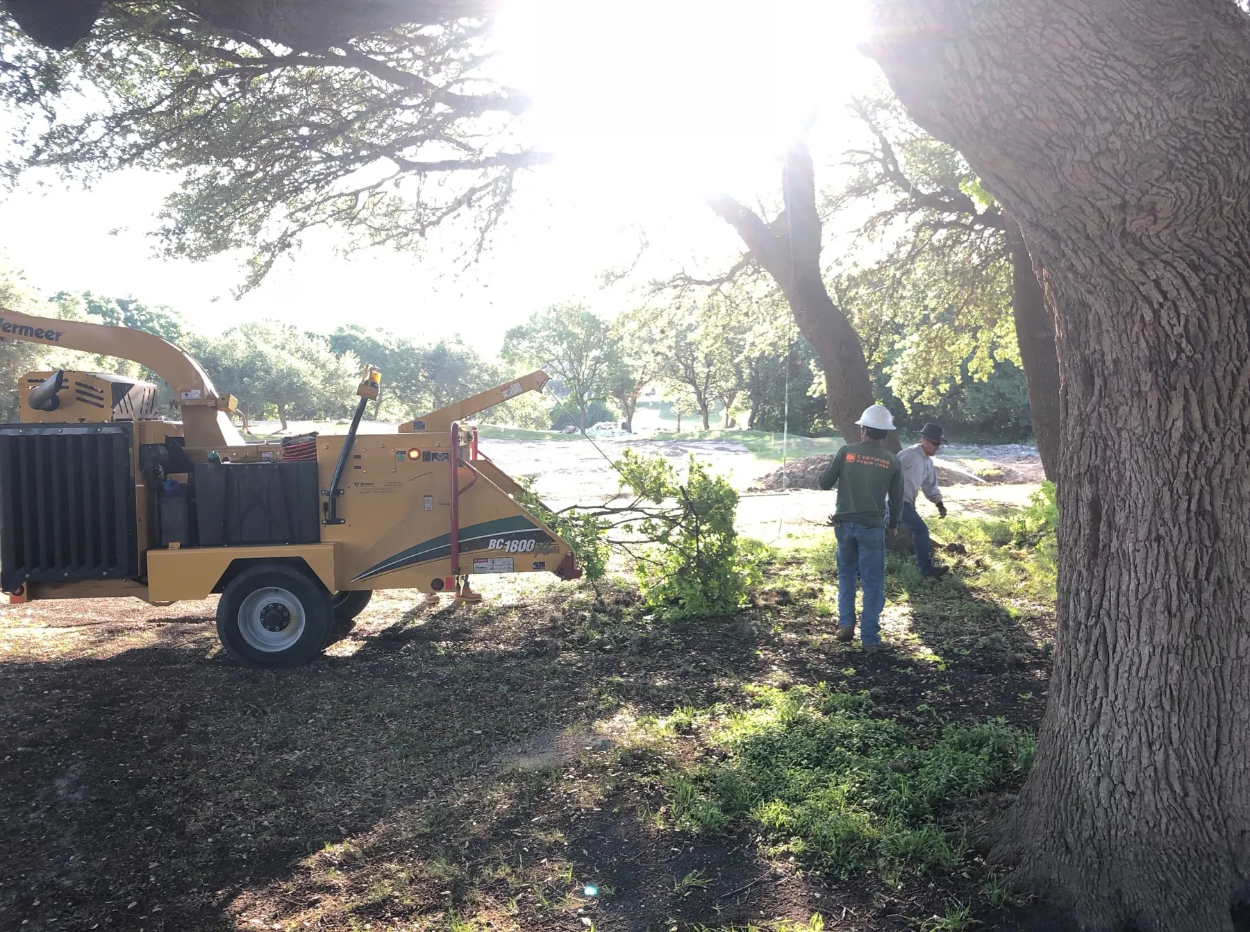 Certified Arbor Care job photo