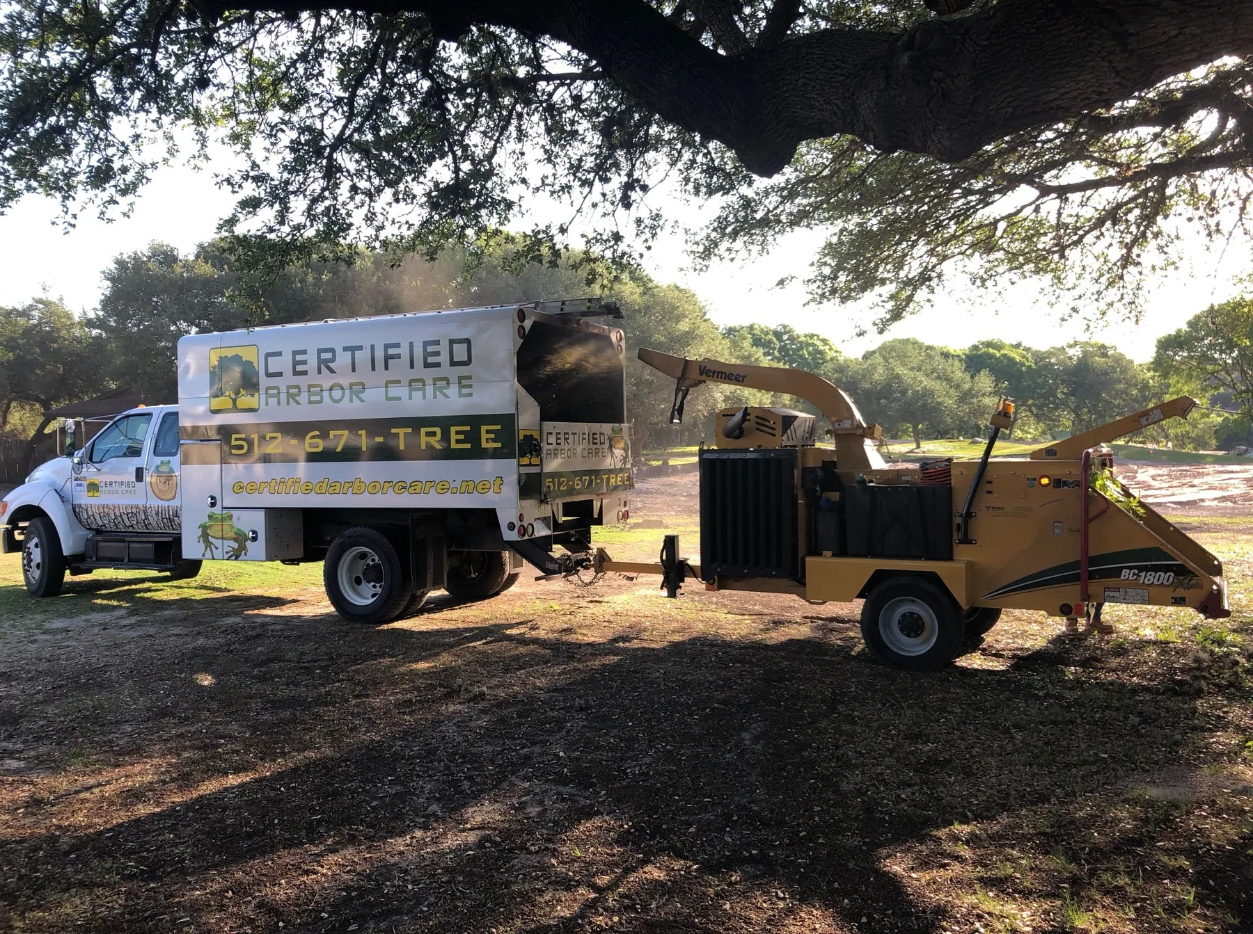 Certified Arbor Care crew at work