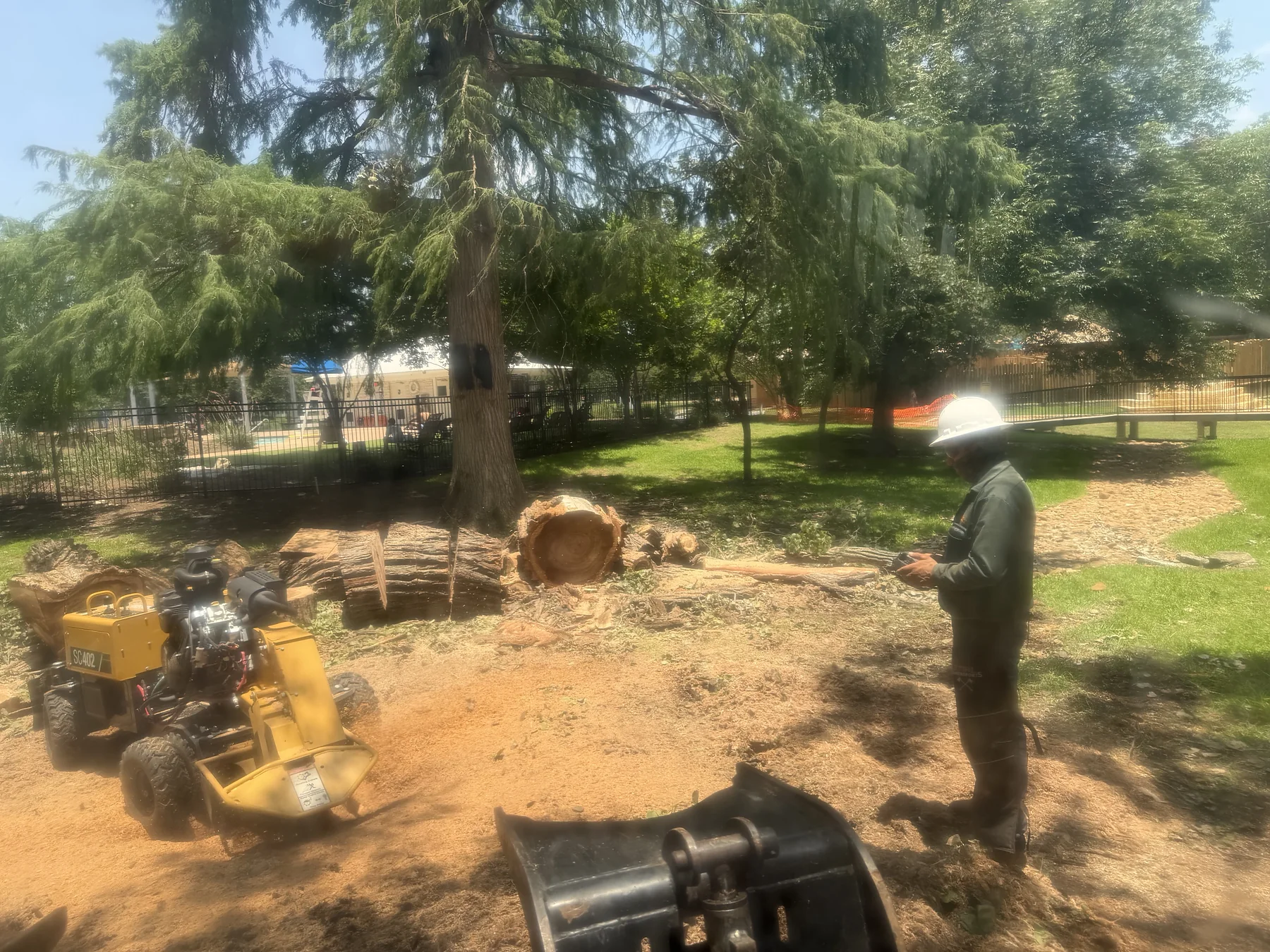 Certified Arbor Care job photo