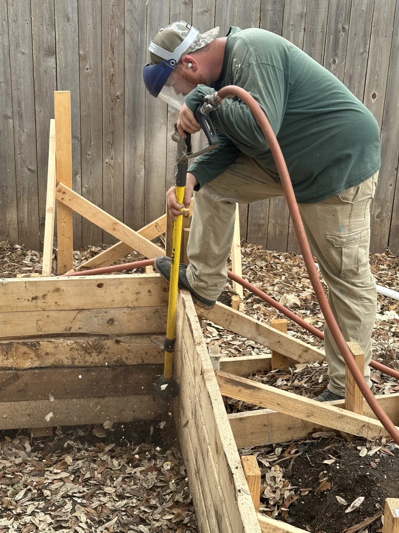 Root Collar Exposure in Austin, Texas