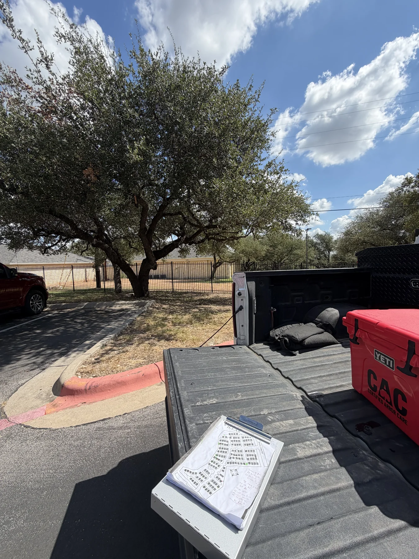 Arborist Reports in Austin, Texas