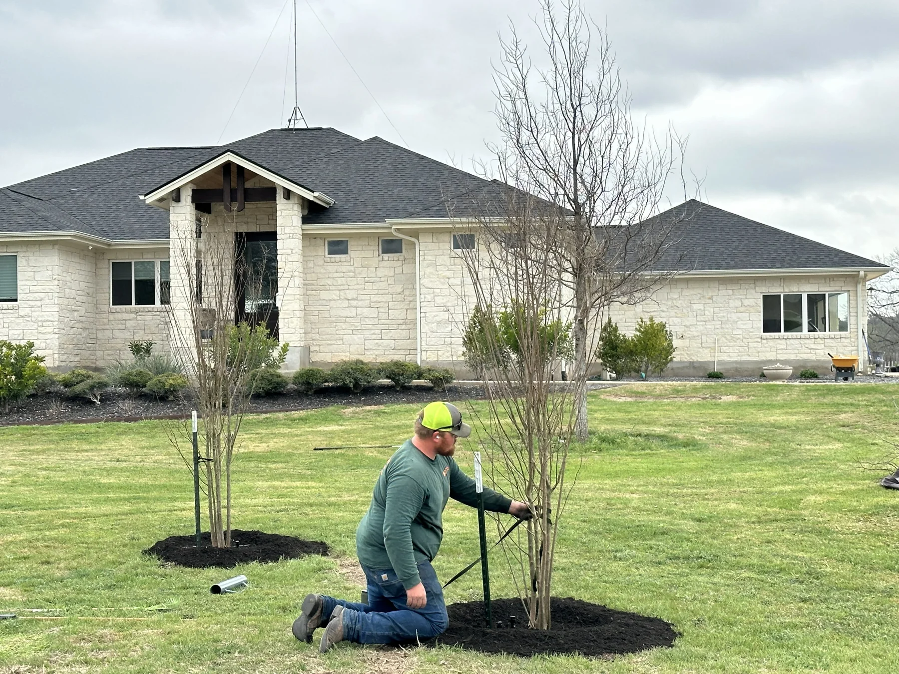 Certified Arbor Care job photo