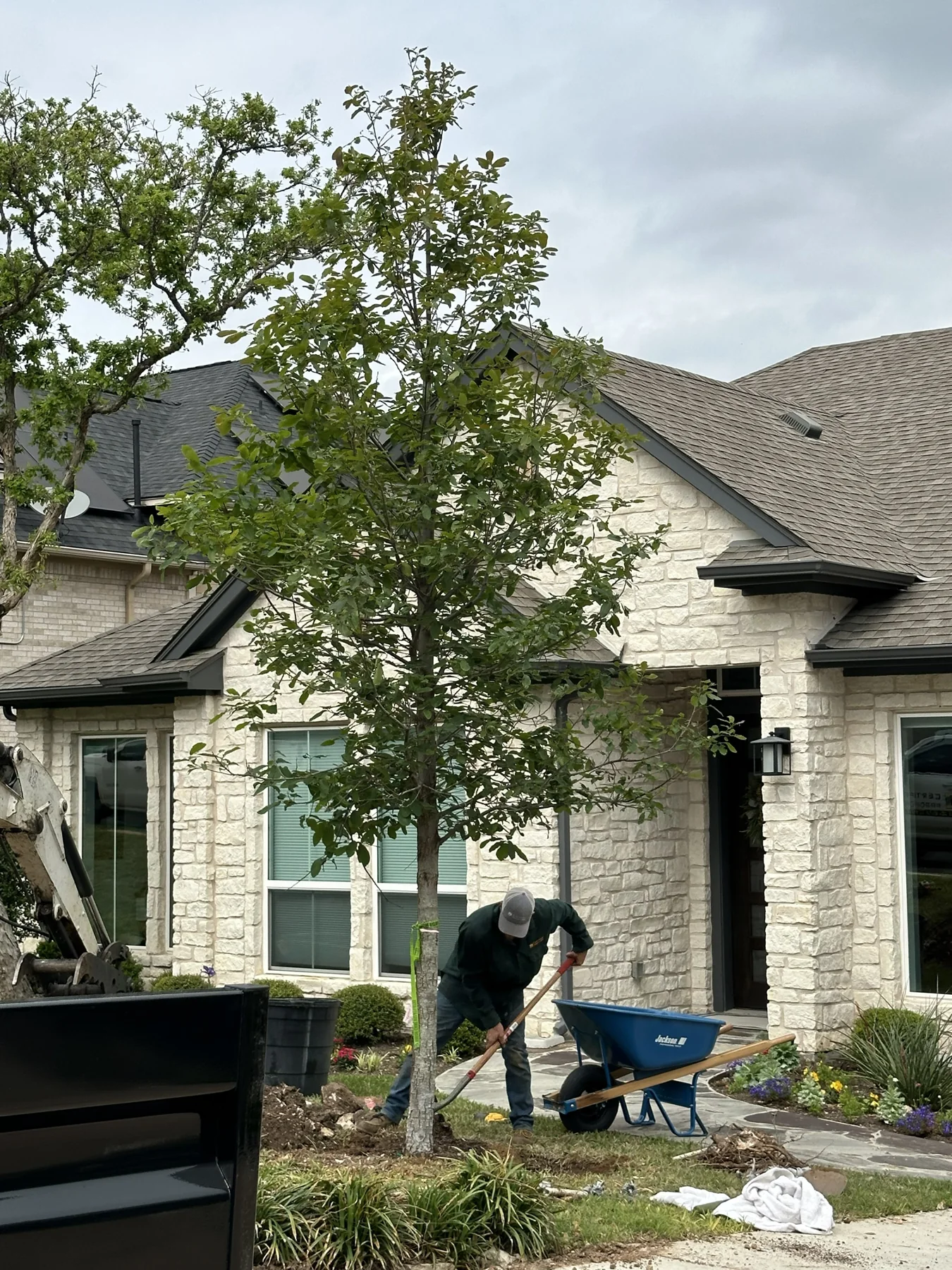 Tree Planting in Austin, Texas