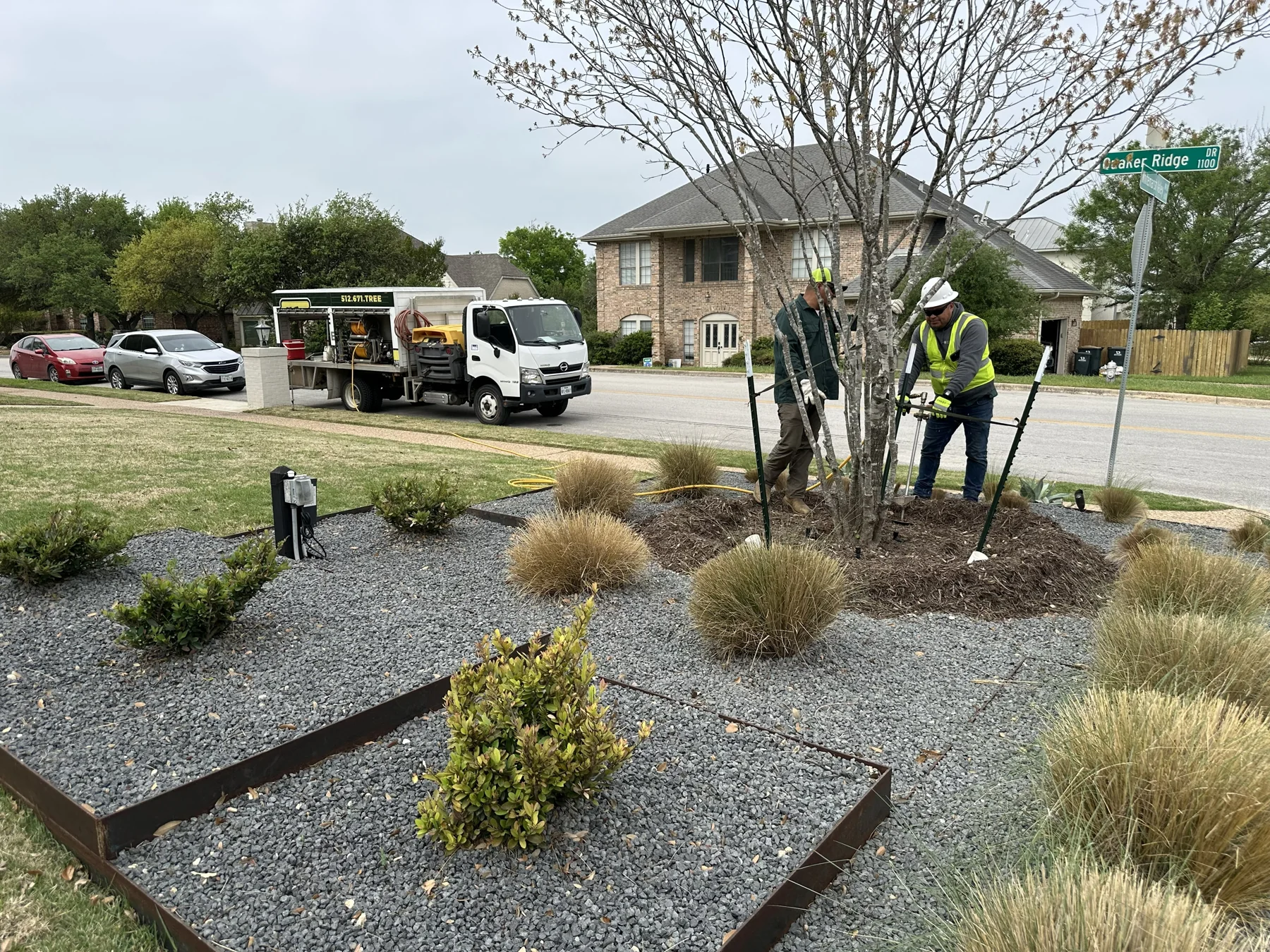 Commercial Tree Fertilization in Austin, Texas