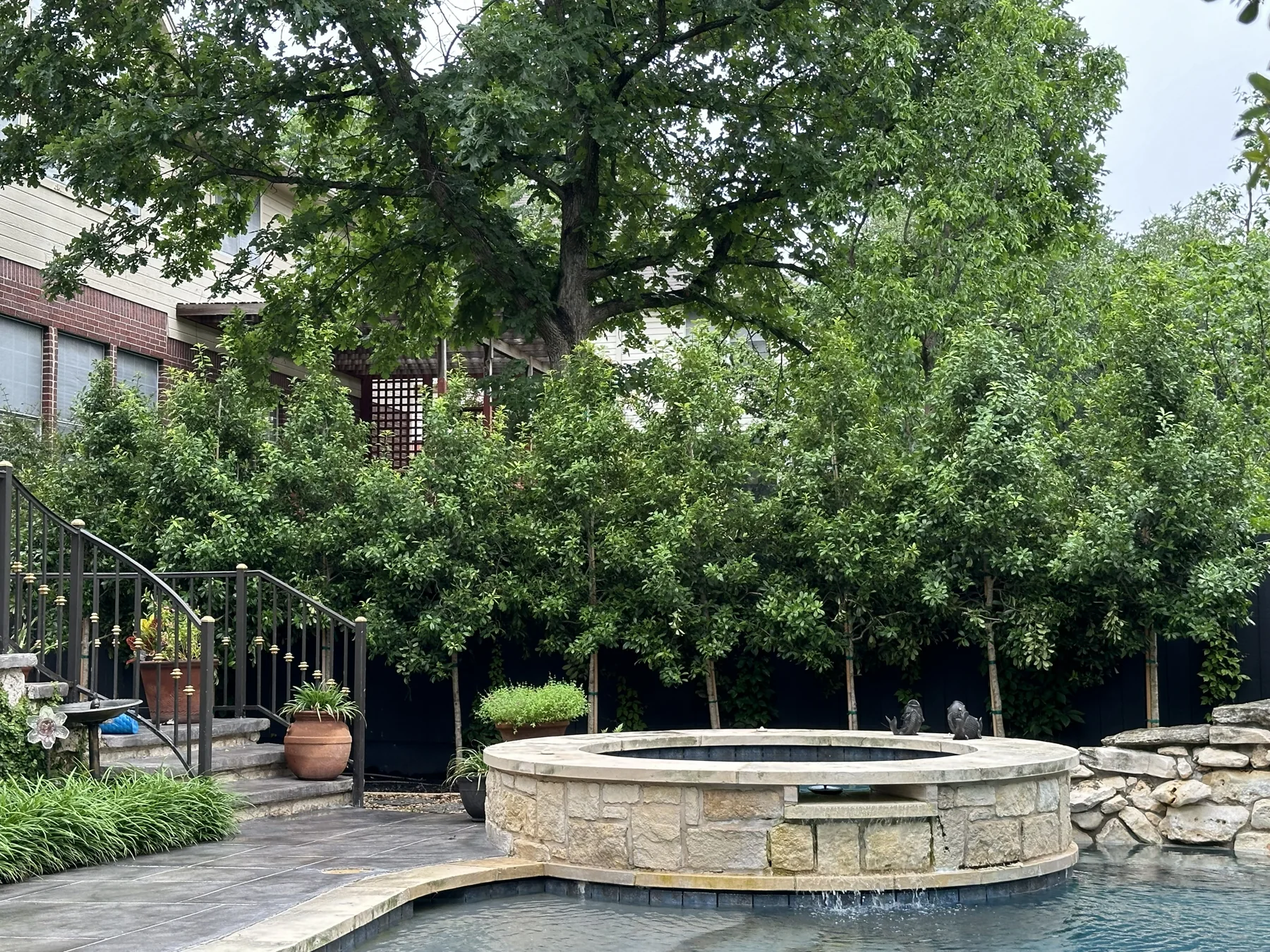 Tree Planting, Certified Arbor Care