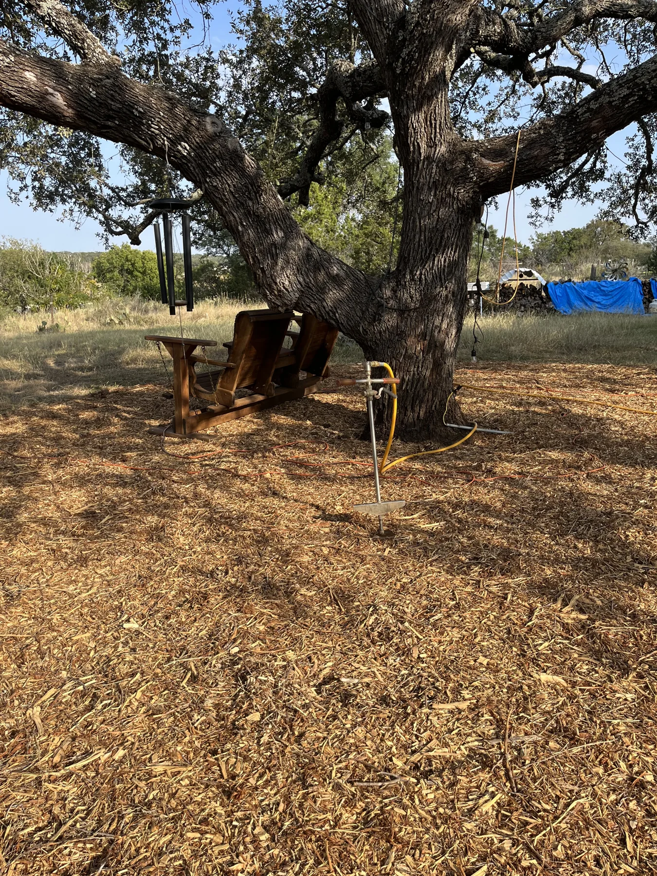 Certified Arbor Care job photo