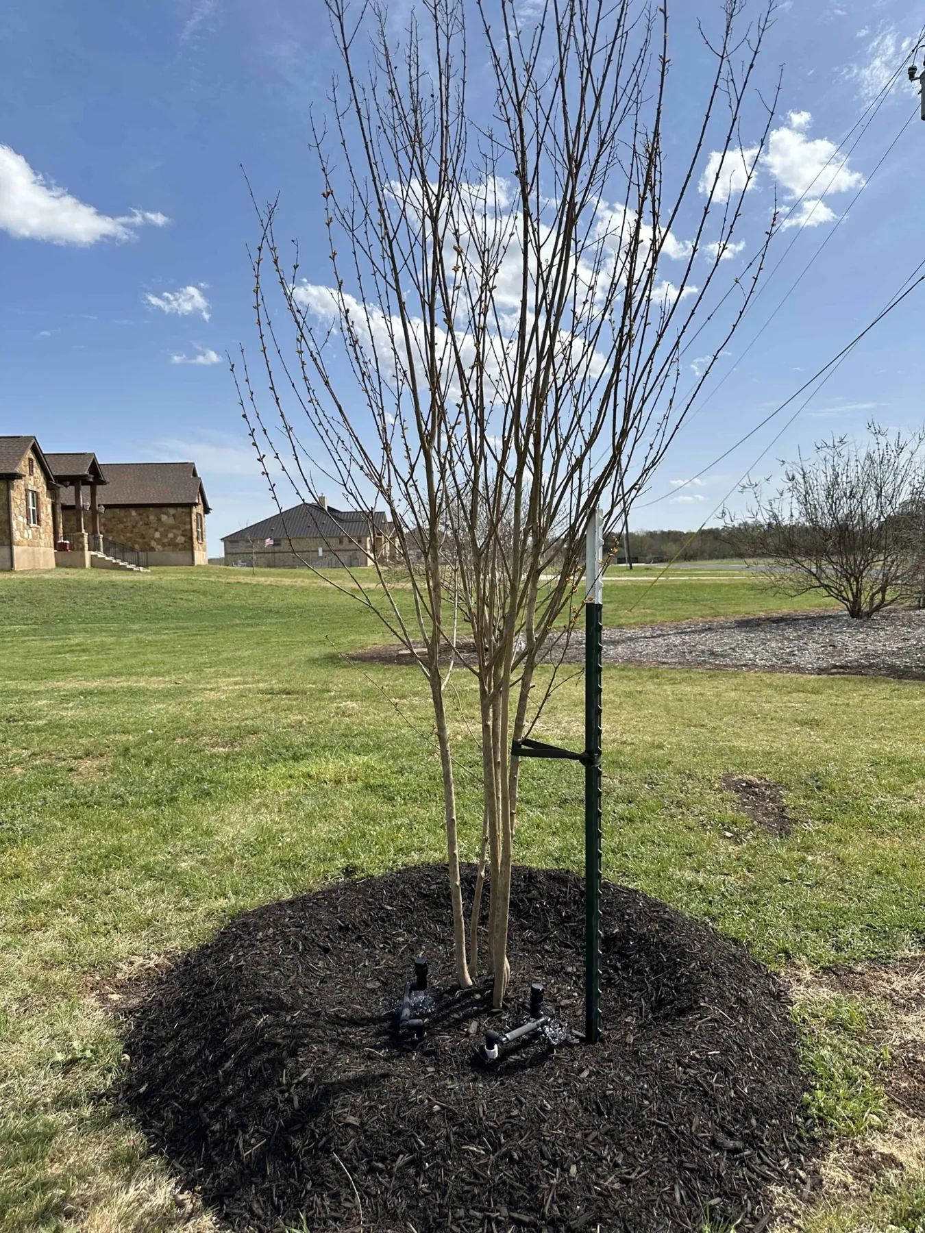 Certified Arbor Care job photo