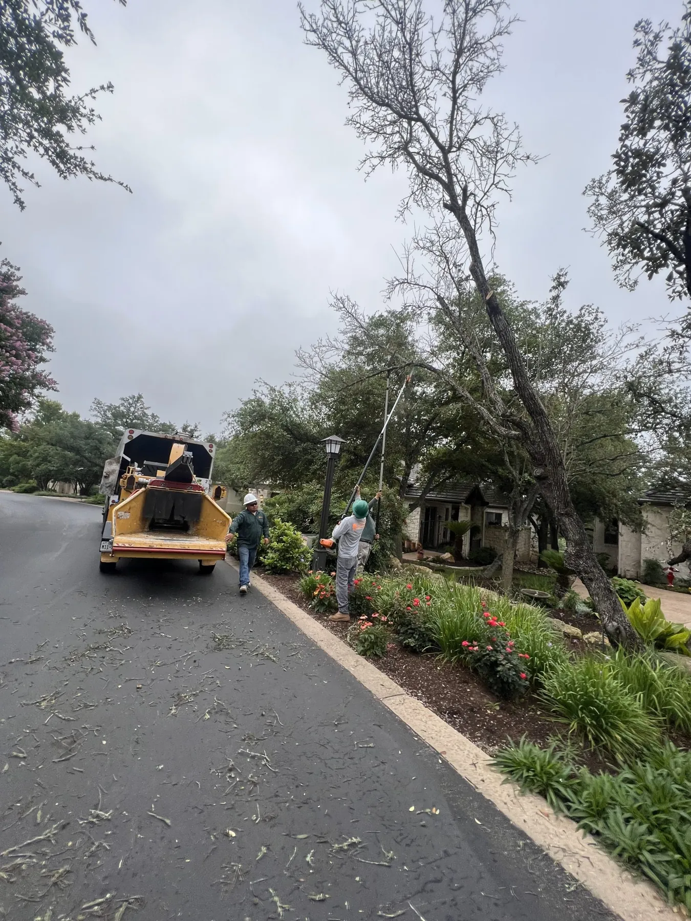 Certified Arbor Care crew at work