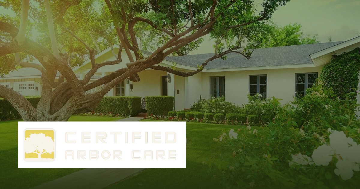 Certified Arbor Care