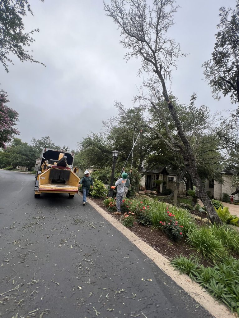 Certified Arbor Care crew performing hazardous tree removal in a residential neighborhood after storm damage
